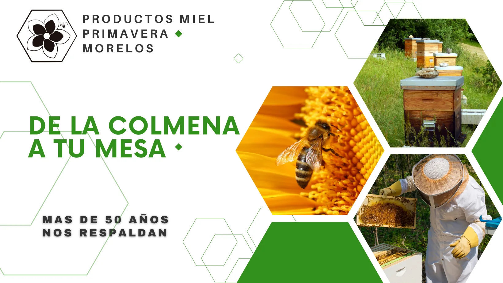 Productos Miel Primavera Morelos, de la colmena a tu mesa